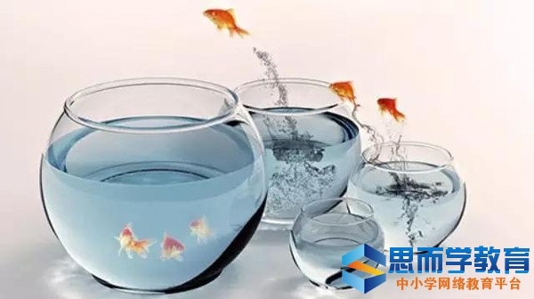 创业经验心得体会_创业经验创业心得_创业心得经验怎么写