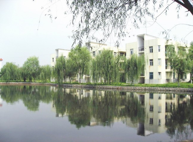 武汉科技职业学院专业排名 各专业录取分数线
