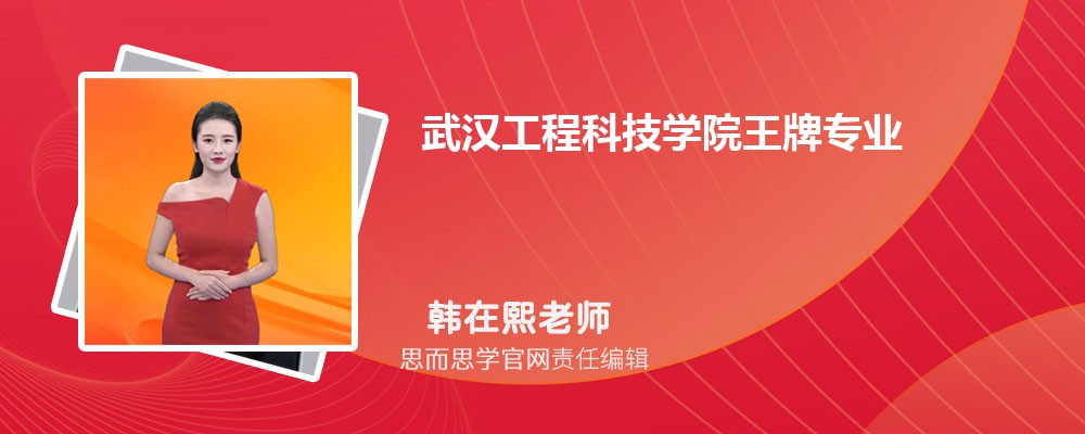 2024年武汉工程科技学院王牌专业排名(原创)