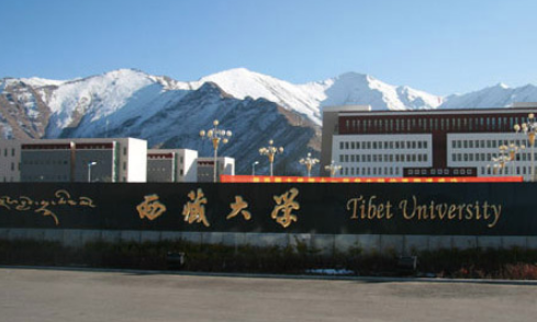 2022年西藏大学招生简章招生专业人数及录取结果查询详细说明(一)